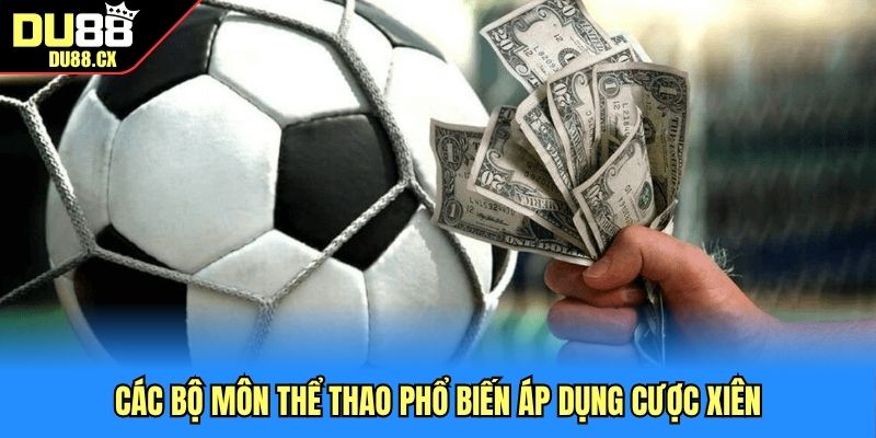 Các bộ môn thể thao phổ biến áp dụng cược xiên